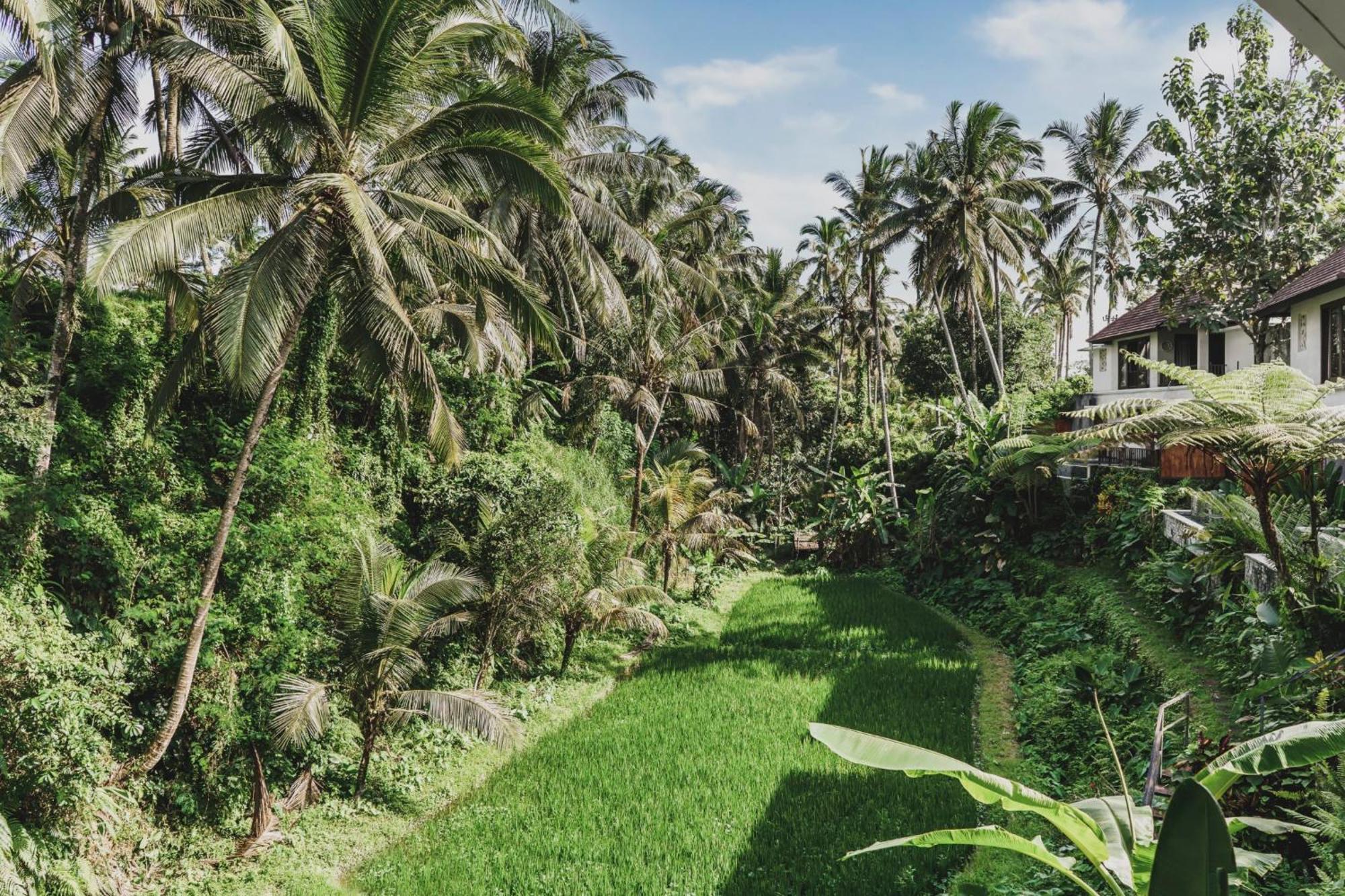 Dedary Resort & Spa Ubud By Ini Vie Hospitality Exterior foto